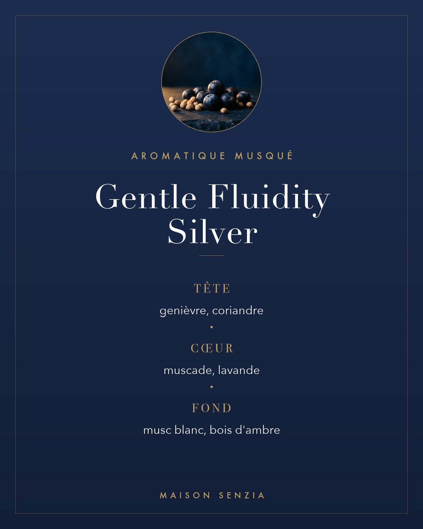 Gentle Fluidity Silver - pyramide olfactive