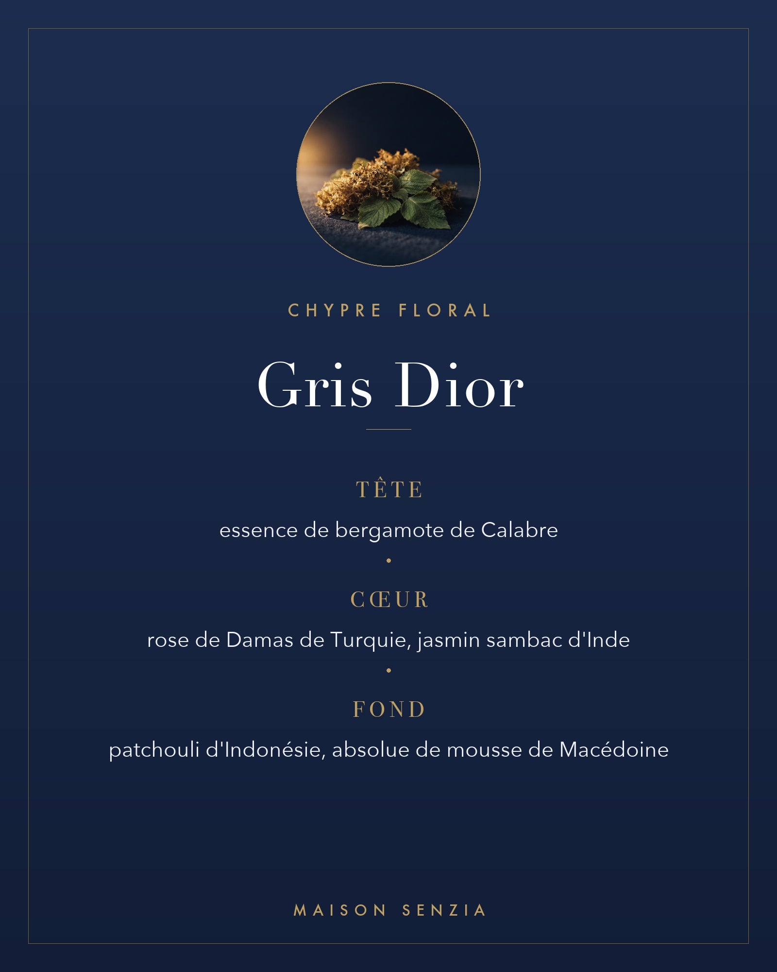 Gris Dior - pyramide olfactive