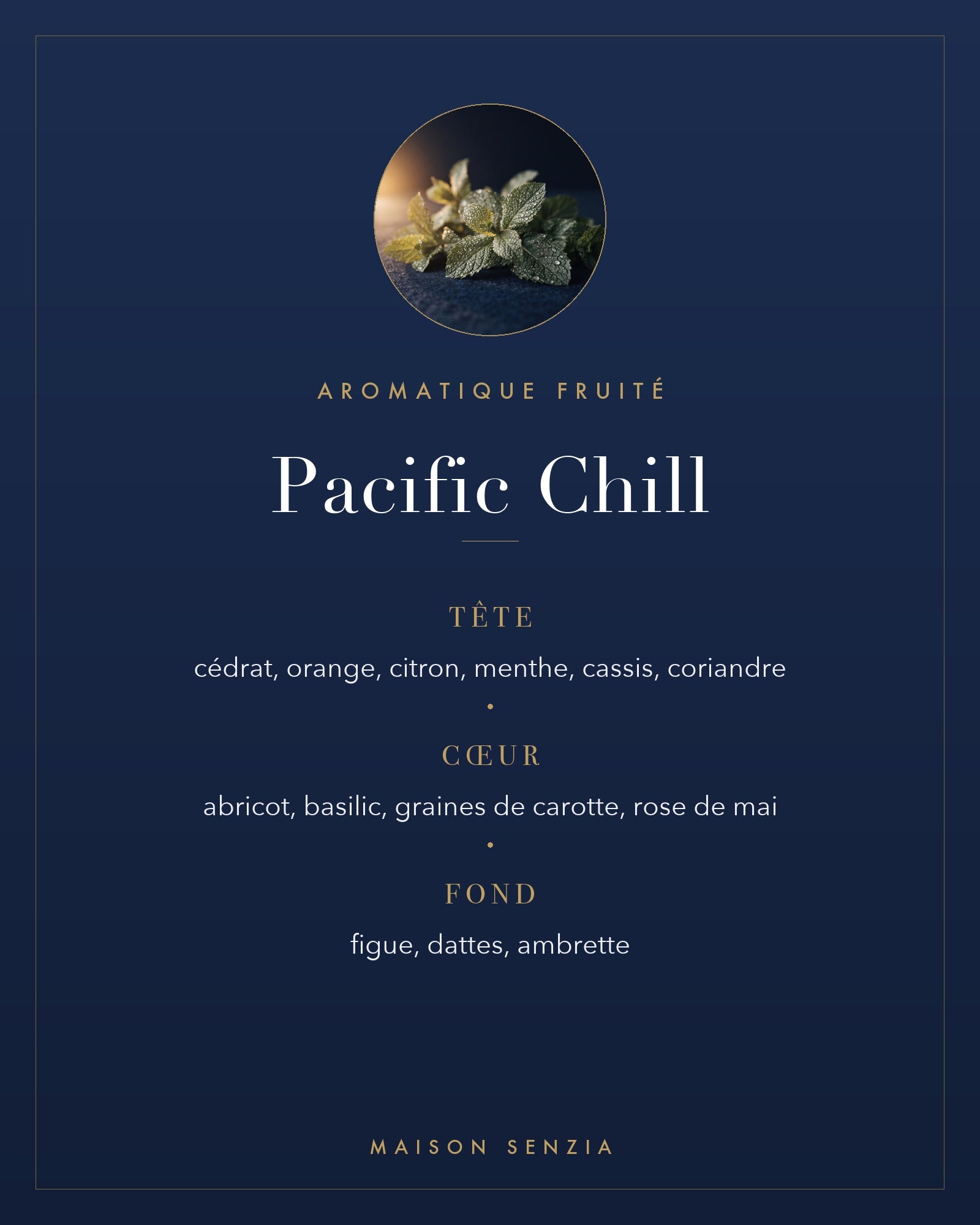 Pacific Chill - pyramide olfactive