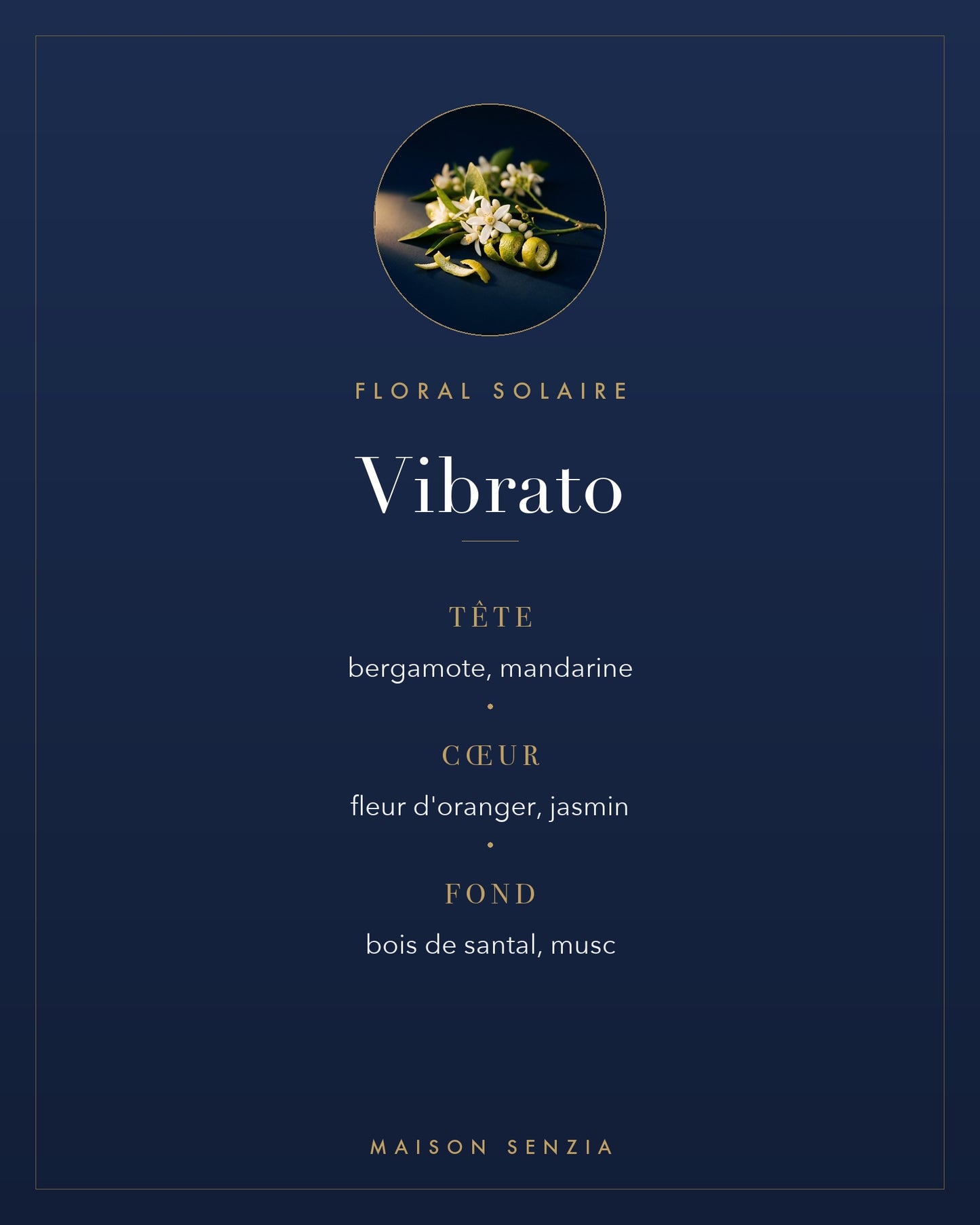 Vibrato - pyramide olfactive